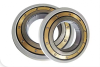 Electrically Insulated Bearings
